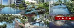 Bartley Ridge (D13), Condominium #177619152